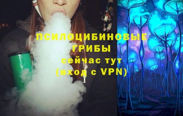 МДПВ Бугульма