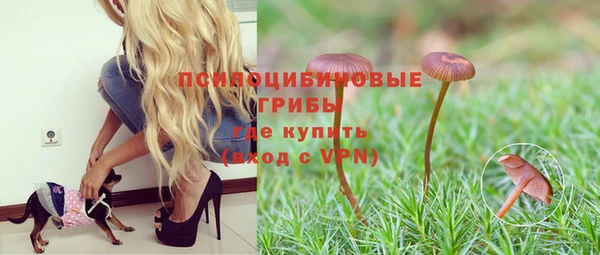 скорость Бородино