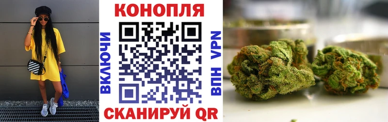 Марихуана план  Купить где  Пучеж 